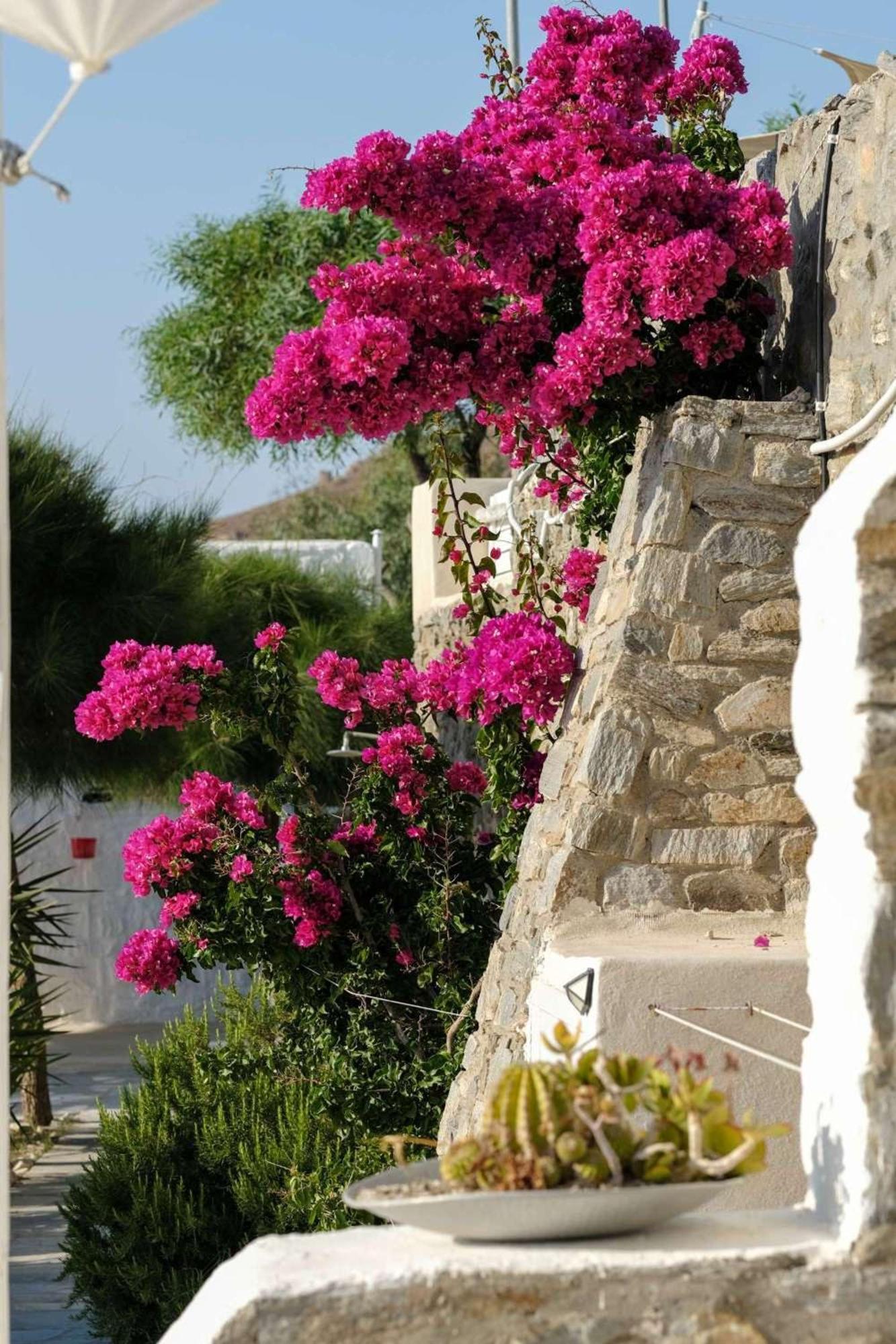 3 Paros All Season Villas エクステリア 写真